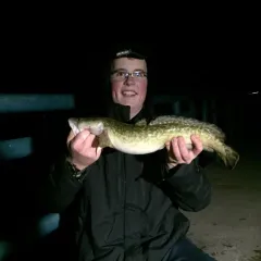Burbot thumbnail 4