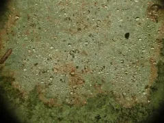 Rock Whitewash thumbnail 2