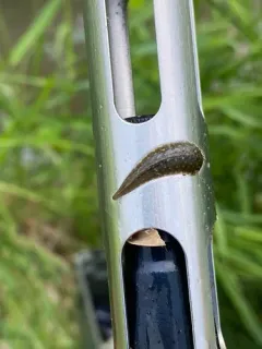 Brook Leech thumbnail 3