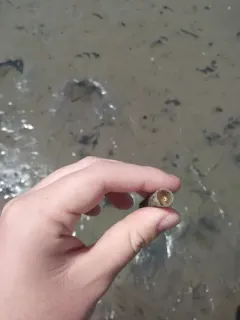 Ice cream cone worm thumbnail 1