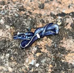 Blue Garden Flatworm thumbnail 1