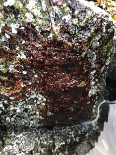 rusty rock thumbnail 3