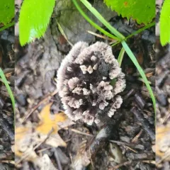 Common Fiber Vase thumbnail 3
