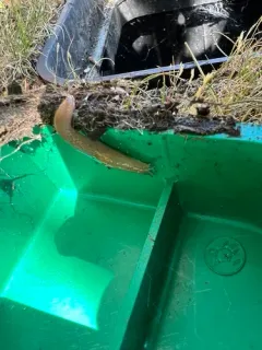 Chestnut Slug thumbnail 1