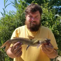 Channel Catfish thumbnail 1