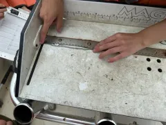 Atlantic Needlefish thumbnail 4