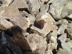 Banded Alpine thumbnail 1