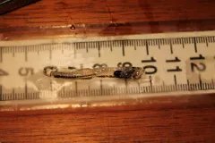 Smalltooth Bristlemouth thumbnail 1