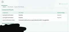 Lyme Disease Spirochete thumbnail 4