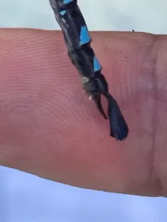 Walker's Darner thumbnail 3