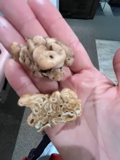 cubed fold truffle thumbnail 3