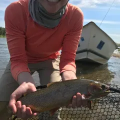 Rocky Mountain Cutthroat Trout thumbnail 2