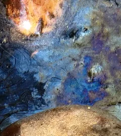 Leptothrix discophora thumbnail 2