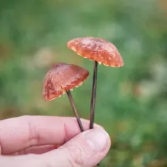 red pinwheel thumbnail 3