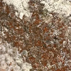 sidewalk firedot thumbnail 2
