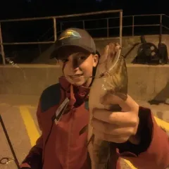 Eyetail Bowfin thumbnail 4