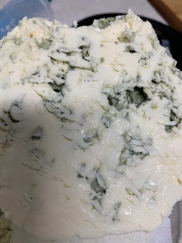 Penicillium roqueforti