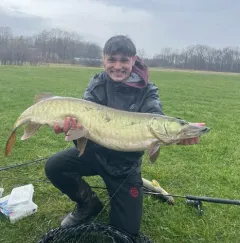 Muskellunge thumbnail 3