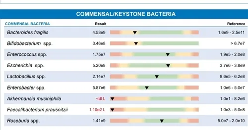 Bacteroides fragilis