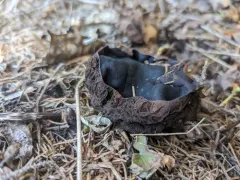 Witches' Cauldron thumbnail 4