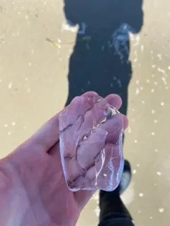 Giant Siphonophore thumbnail 3