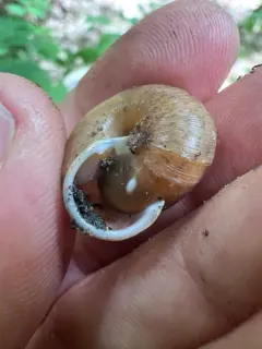 Spike-lip Crater thumbnail 2