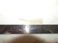 Thuiaria thuja thumbnail 1