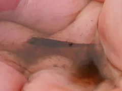 Olympic Mudminnow thumbnail 2
