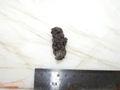 Flowery Carnation Coral thumbnail 1
