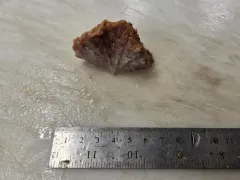 Ivory Stone Coral thumbnail 3