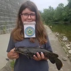 Flathead Catfish thumbnail 2