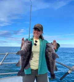 Black Rockfish thumbnail 4