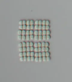 Merismopedia tranquilla thumbnail 2