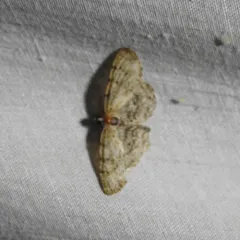 Porcelain Gray thumbnail 3