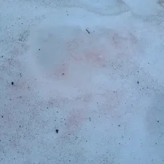 watermelon snow thumbnail 3