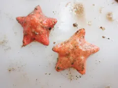 Red Cushion Star thumbnail 2