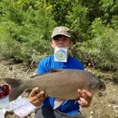 Smallmouth Buffalo thumbnail 4