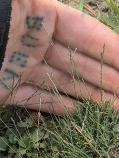 mat muhly thumbnail 2