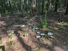 Giant Funnel thumbnail 3
