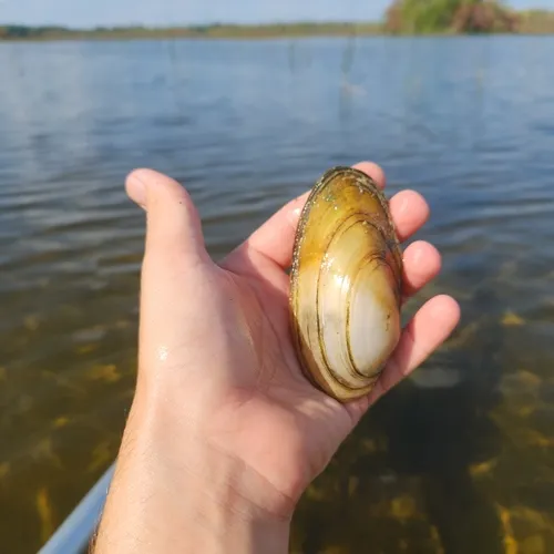 Lake Floater