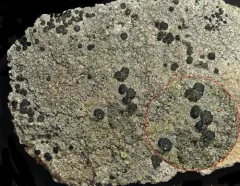 Cracked Pots thumbnail 1