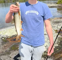 Lake Trout thumbnail 3