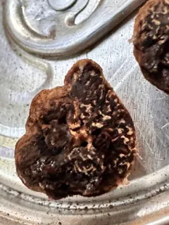 Fischerula subcaulis thumbnail 3