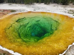 Sulfolobus solfataricus thumbnail 2