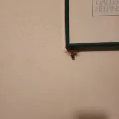Eurasian Hummingbird Hawkmoth thumbnail 2