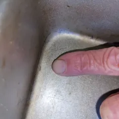 Powder Blue Isopod thumbnail 4