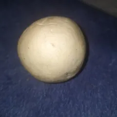 Western Giant Puffball thumbnail 3