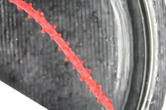 Red Rope Coral thumbnail 2