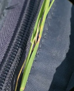 scratch grass thumbnail 3