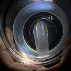 Abyssal Comb Jelly thumbnail 3